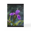 Water Iris cards