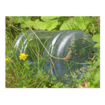 Water Jug Post Card postcards