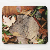 Water Leaf mousepads by jetkrazee Water Leaf mousepads