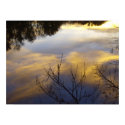 Water Light #3 posters by 1641music Water Light #3 posters
