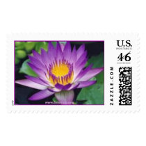 Water Lilie Tina, www.buumon.org postage