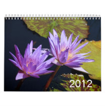 Water Lilies 2012 Wall Calendar