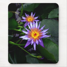 Water Lilies - #2 Mouse Pad