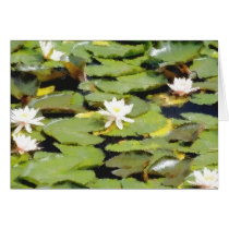 Water Lilies cards