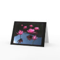 Water lilies cards