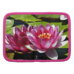 Water Lilies planners