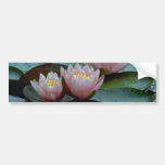 Water Lilies In Pink Bumper Stickers