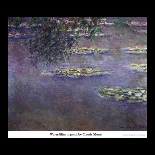Water lilies in pond by Claude Monet Print