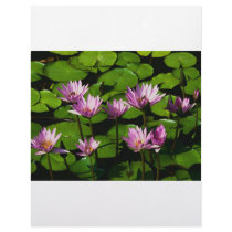 Water lilies letterhead by WeddingWorks Water lilies letterhead