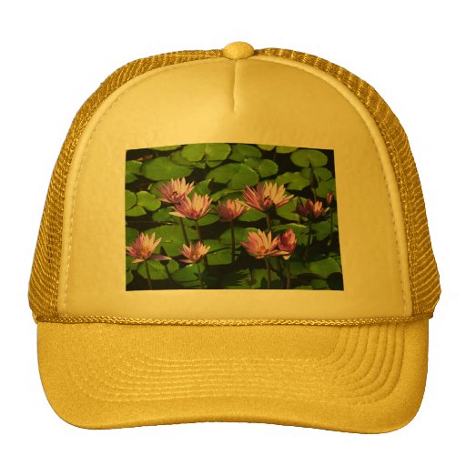 Water lilies mesh hats