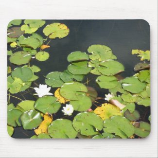 water lilies mousepad