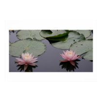 Water Lilies posters by jasminhunter Water Lilies posters