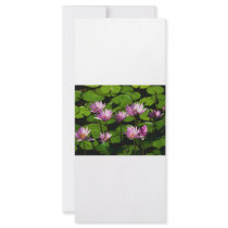 Water lilies rack cards