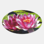 Water Lilies stickers