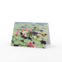 Water Lillies 01 cards