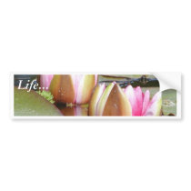 Water Lillies Bumper Stickers
