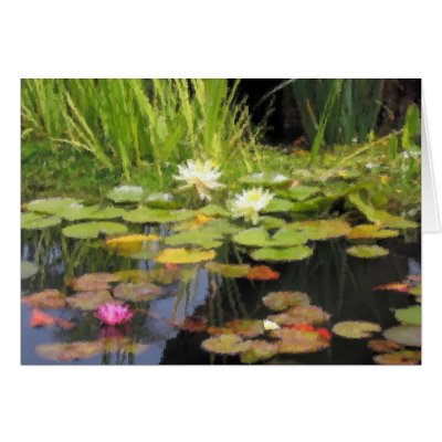 Water Lillies Impression Greeting Card by sailhawk