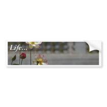 Water Lillies Lilly bumper stickers