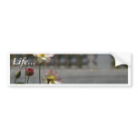 Water Lillies Lilly Bumper Stickers