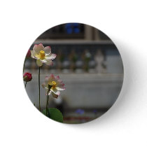 Water Lillies Lilly buttons