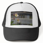 Water Lillies Lilly hats