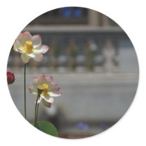 Water Lillies Lilly stickers by lifesphere Water Lillies Lilly stickers