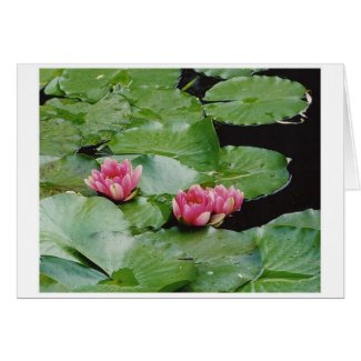 Water Lillies, Monet's House, Giverny, France card