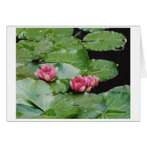 Water Lillies, Monet's House, Giverny, France cards by christellewiggins Water Lillies, Monet's House, Giverny, France cards