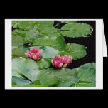 Water Lillies, Monet's House, Giverny, France cards