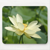 Water lilly flower mousepads