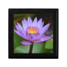 Water lilly jewelry box