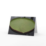 Water Lilly Leaf Note Card