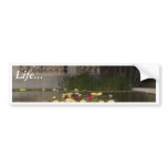 Water Lilly Lillies Flowers Bumper Sticker