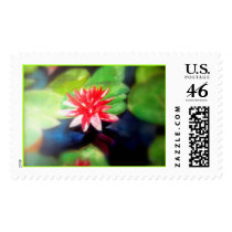 Water Lilly postage