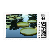 water lilly postage by AmandaAnn water lilly postage