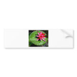 WATER LILY 1 BUMPER STICKERS