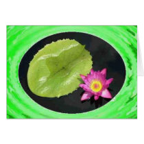 Water Lily 2 cards