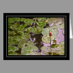 Water Lily and Lily Pads Card