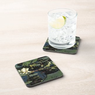 Water Lily Blossoms Beverage Coaster