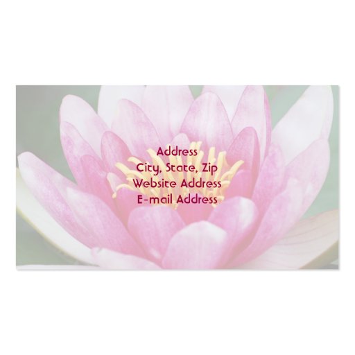 Water Lily  Business Cards (back side)
