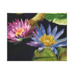 Water Lily Canvas Print