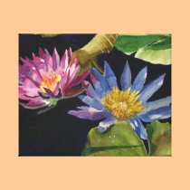 Water Lily canvas prints
