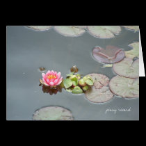 Water Lily Card
