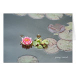 Water Lily Card