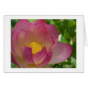 Water Lily cards by marierm Water Lily cards