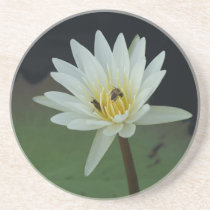 Water Lily Coaster