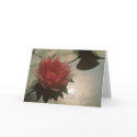 Water Lily Condolence Card by SayHello Water Lily Condolence Card