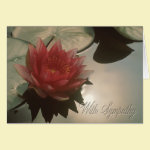 Water Lily Condolence Card