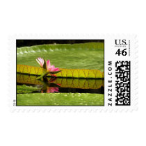 Water lily - Custom postage postage