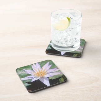 Water Lily Fine Art Drink Coasters